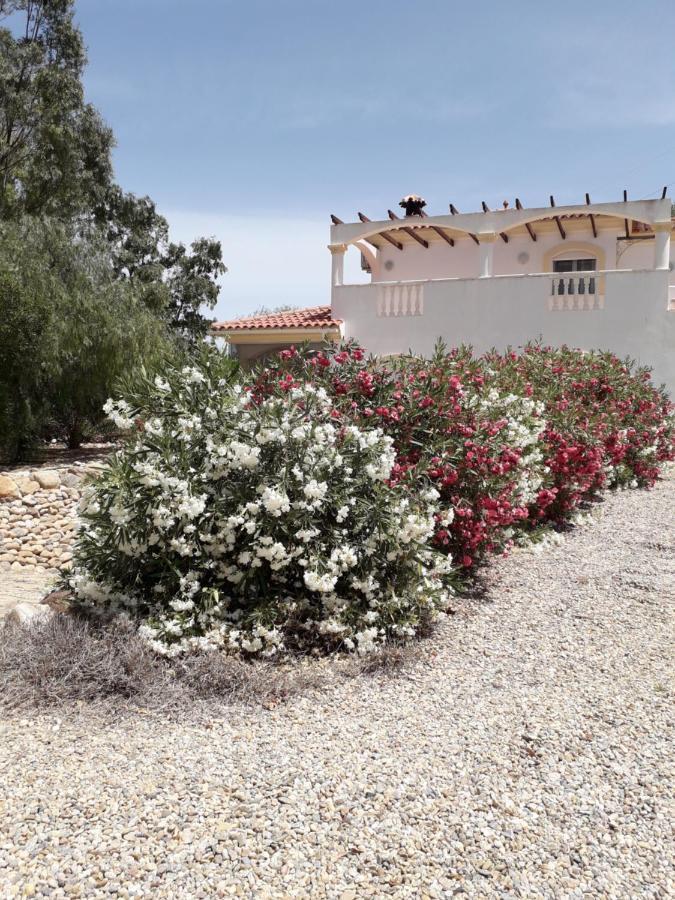Casa Gregory Villa Turre Dış mekan fotoğraf